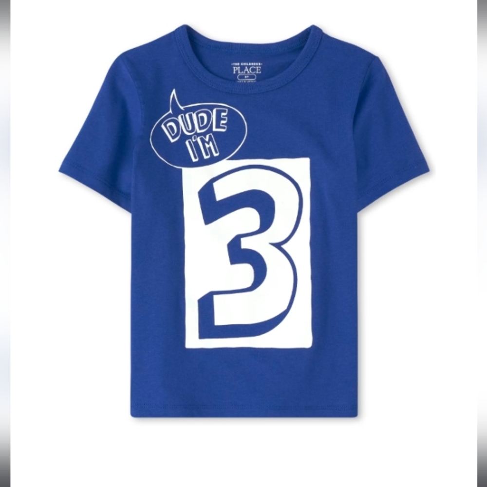 Boys T shirt, 3rd Birthday "Dude I'm 3"